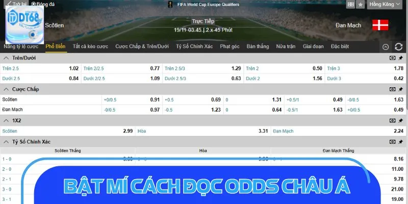 Bật mí cách đọc odds châu Á chuẩn xác