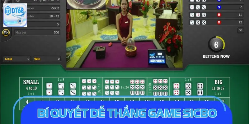 Bí quyết dễ thắng khi tham gia sicbo